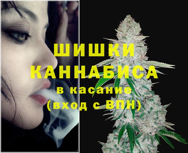 стафф Бронницы