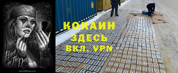 стафф Бронницы