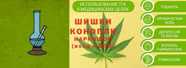 молекула духа Бородино