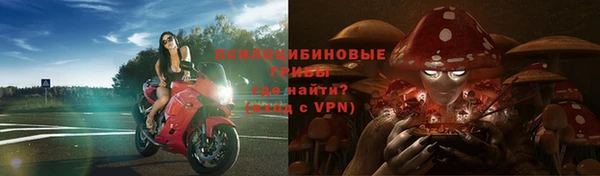 молекула духа Бородино