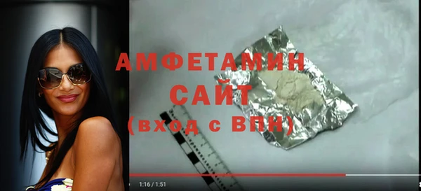молекула духа Бородино