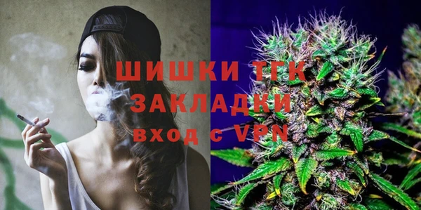 молекула духа Бородино
