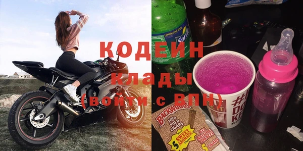 молекула духа Бородино