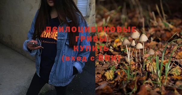 молекула духа Бородино