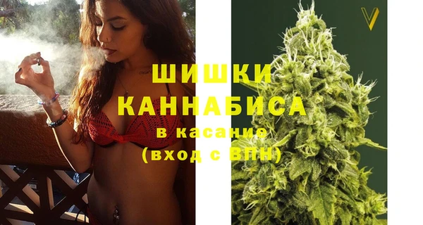 стафф Бронницы