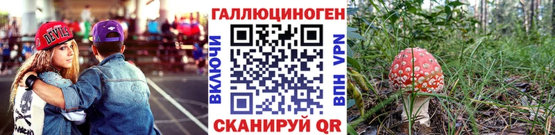 Псилоцибиновые грибы мухоморы  Дальнегорск 